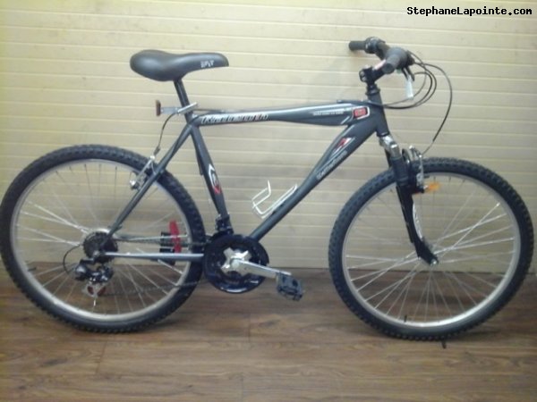Vélo Raleigh Matterhorn - StephaneLapointe.com