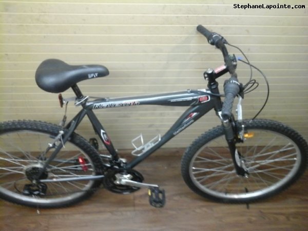 Vélo Raleigh Matterhorn - StephaneLapointe.com