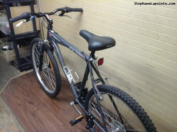 Vélo Raleigh Matterhorn - StephaneLapointe.com