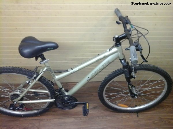 Vélo Raleigh TESS - StephaneLapointe.com