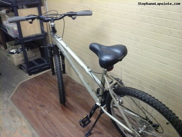 Vélo Raleigh TESS - StephaneLapointe.com