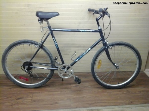 Vélo Leader LE 60705 - StephaneLapointe.com