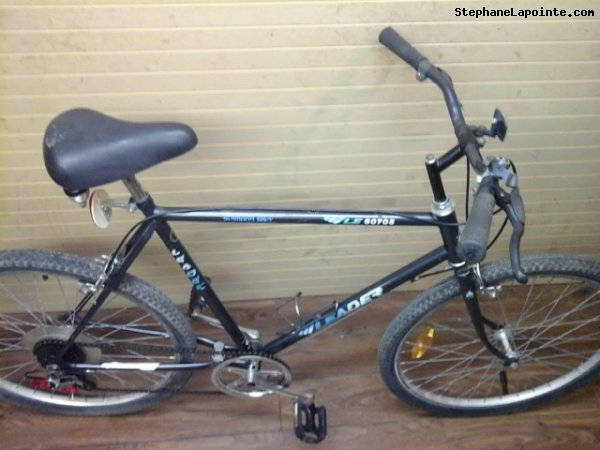 Vélo Leader LE 60705 - StephaneLapointe.com