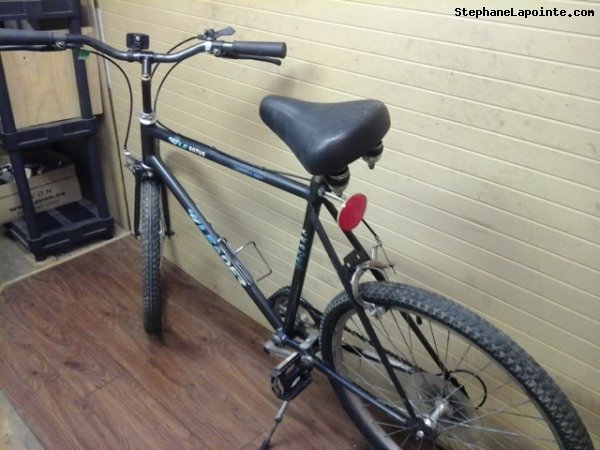 Vélo Leader LE 60705 - StephaneLapointe.com