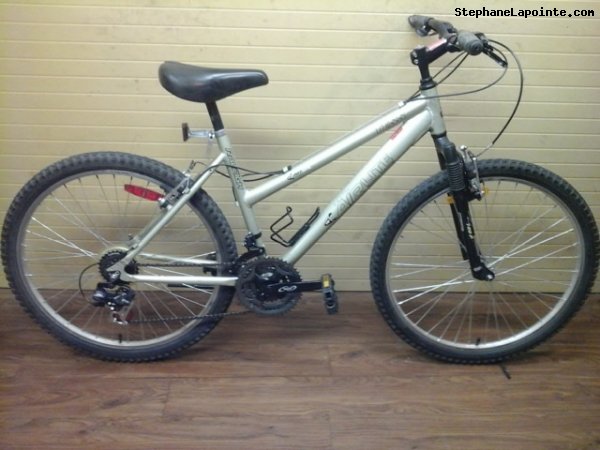 Vélo Raleigh TESS - StephaneLapointe.com