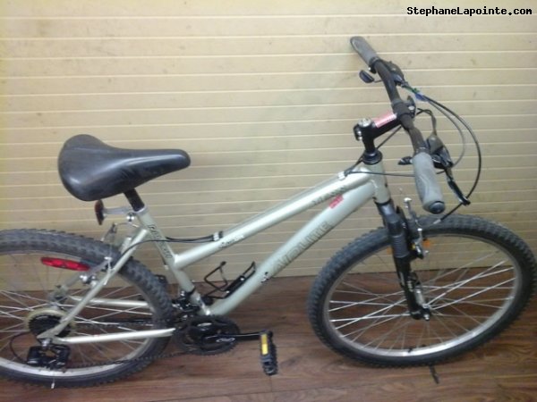 Vélo Raleigh TESS - StephaneLapointe.com