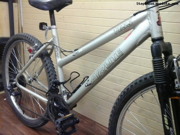 Vélo Raleigh TESS - StephaneLapointe.com