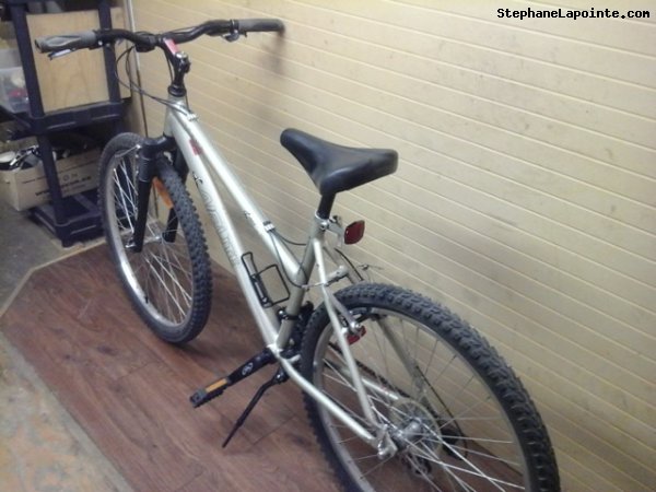 Vélo Raleigh TESS - StephaneLapointe.com