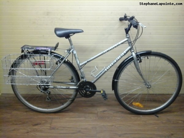 Vélo Raleigh Sports - StephaneLapointe.com