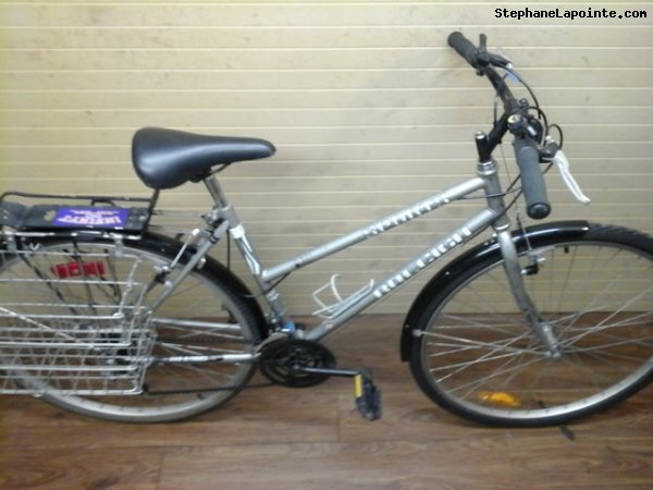 Vélo Raleigh Sports - StephaneLapointe.com