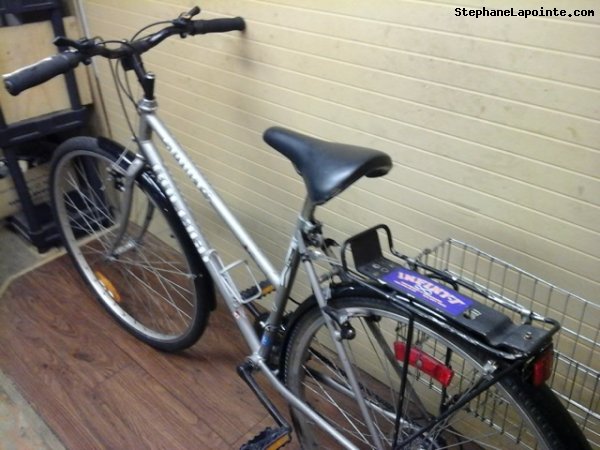 Vélo Raleigh Sports - StephaneLapointe.com