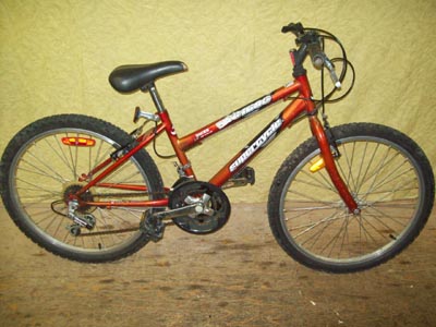 Vélo Supercycle SC1800 - StephaneLapointe.com