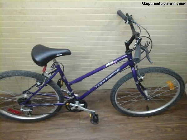 Vélo AVP Tonnerre - StephaneLapointe.com