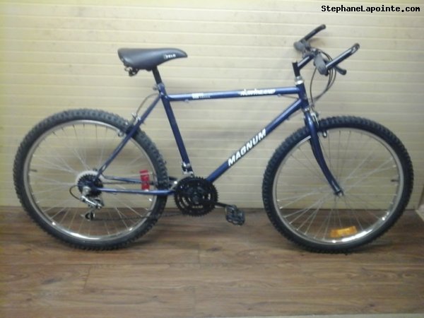 Vélo Northland Magnum - StephaneLapointe.com