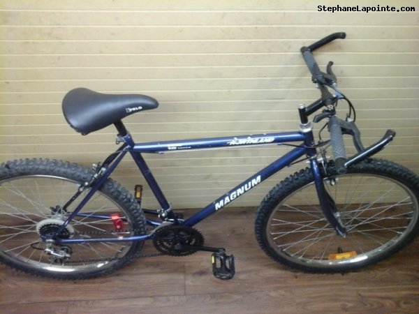 Vélo Northland Magnum - StephaneLapointe.com