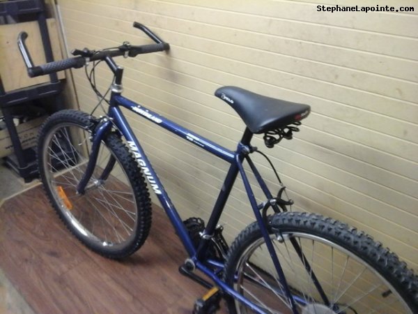 Vélo Northland Magnum - StephaneLapointe.com