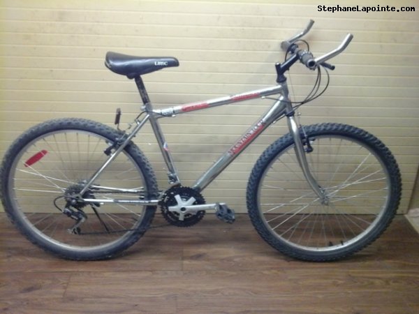 Vélo Mountain Tour Platinum DX - StephaneLapointe.com