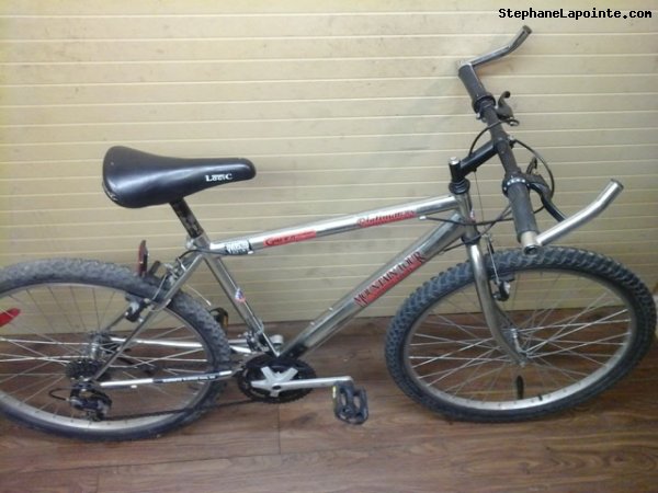 Vélo Mountain Tour Platinum DX - StephaneLapointe.com
