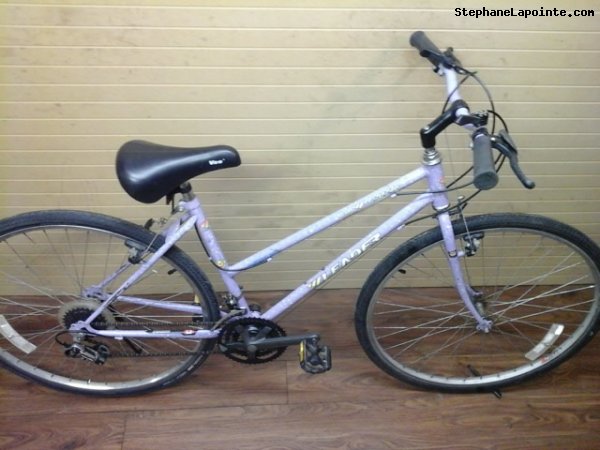 Vélo Leader LE 70746 - StephaneLapointe.com