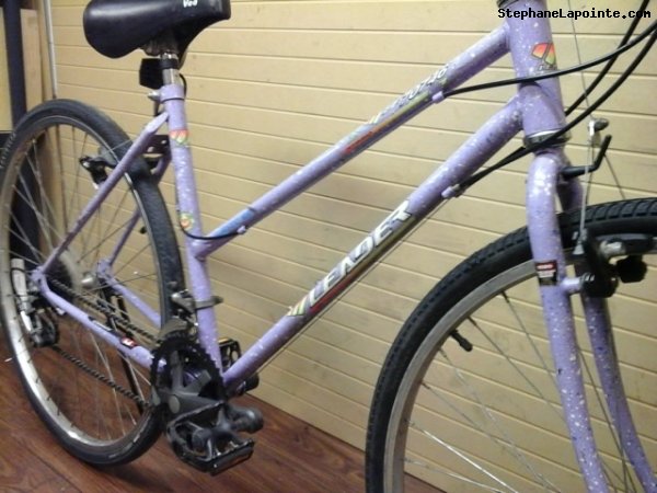 Vélo Leader LE 70746 - StephaneLapointe.com