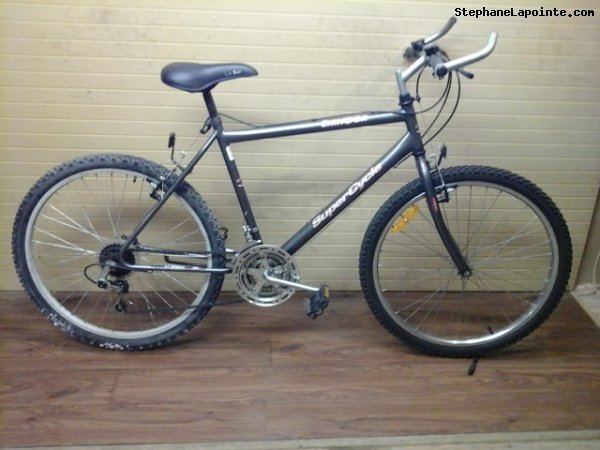 Vélo Supercycle Chinook - StephaneLapointe.com