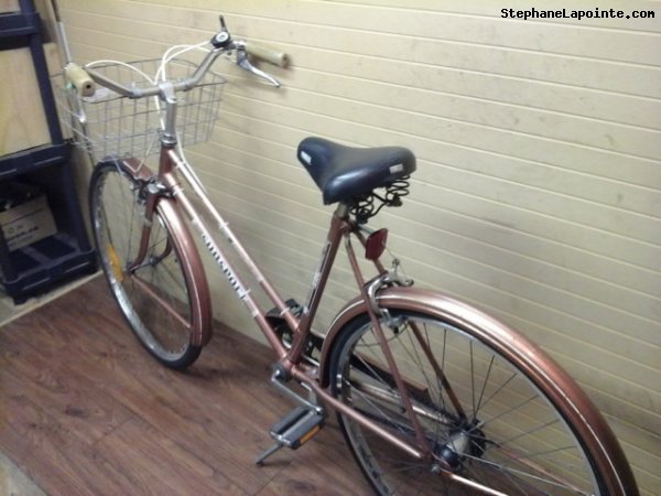 Vélo CCM Sunsport - StephaneLapointe.com