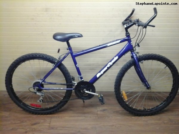 Vélo Supercycle Breeze - StephaneLapointe.com