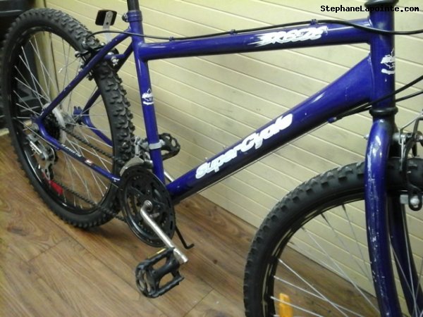 Vélo Supercycle Breeze - StephaneLapointe.com