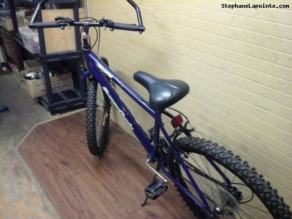 Vélo Supercycle Breeze - StephaneLapointe.com