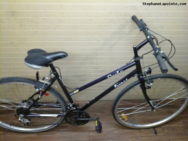Vélo Cyclo Avenue - StephaneLapointe.com