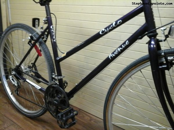 Vélo Cyclo Avenue - StephaneLapointe.com