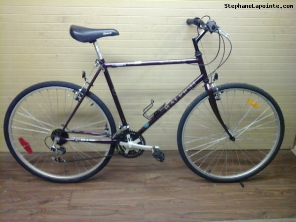 Vélo Raleigh Highlander GS - StephaneLapointe.com