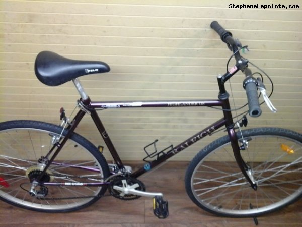 Vélo Raleigh Highlander GS - StephaneLapointe.com