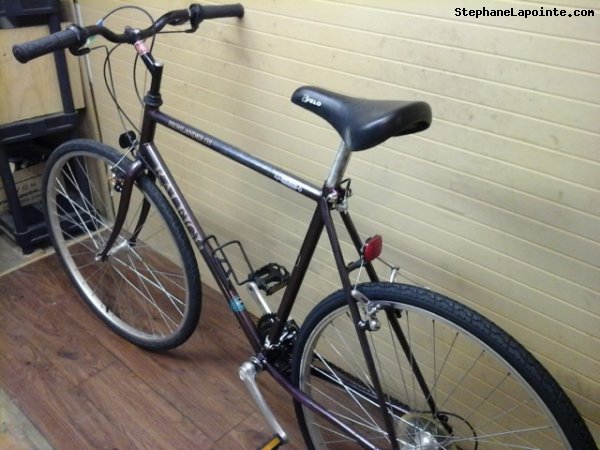 Vélo Raleigh Highlander GS - StephaneLapointe.com