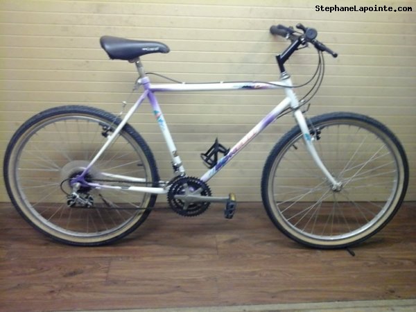 Vélo Bonelli Mont-Blanc - StephaneLapointe.com