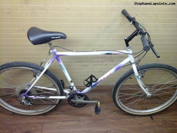 Vélo Bonelli Mont-Blanc - StephaneLapointe.com