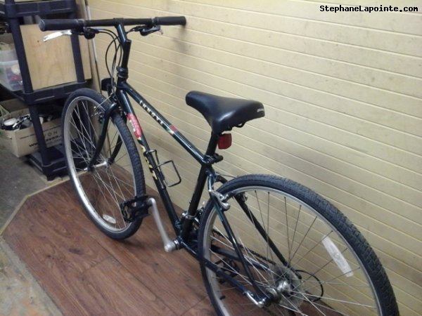 Vélo Giant Innova - StephaneLapointe.com