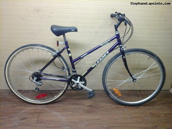 Vélo Leader LE 70741 - StephaneLapointe.com