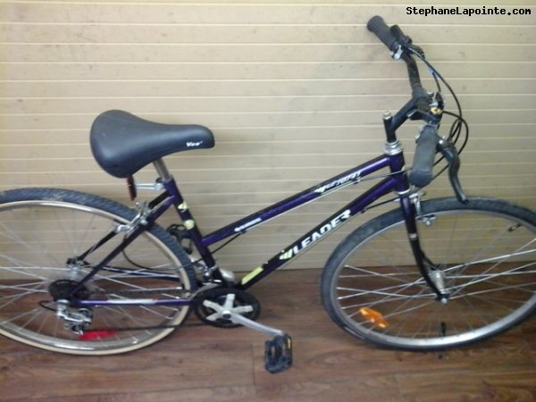 Vélo Leader LE 70741 - StephaneLapointe.com