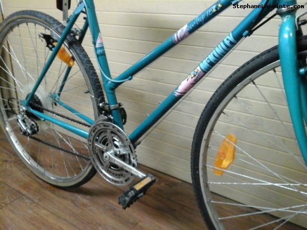 Vélo McKinley Country 18 - StephaneLapointe.com