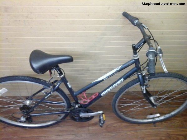 Vélo Giant Option - StephaneLapointe.com