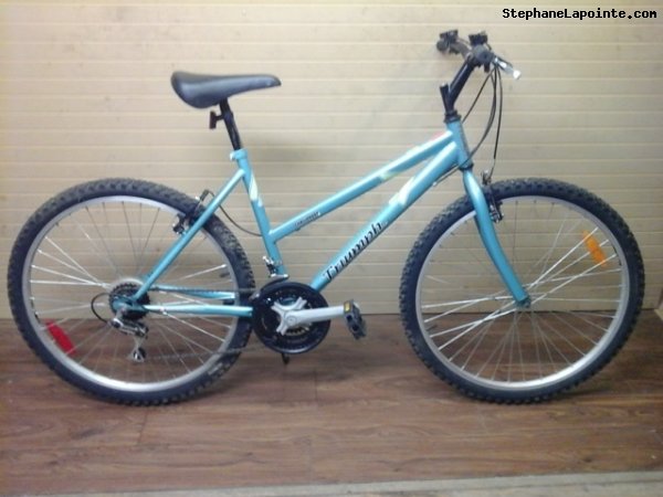 Vélo Triumph Challenger - StephaneLapointe.com
