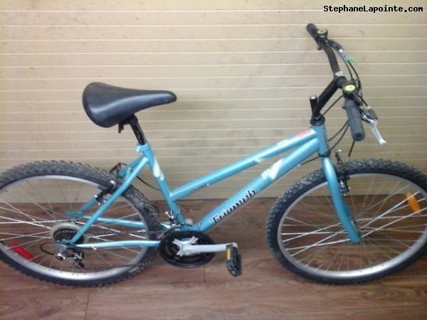 Vélo Triumph Challenger - StephaneLapointe.com
