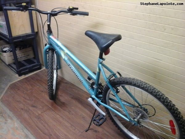 Vélo Triumph Challenger - StephaneLapointe.com