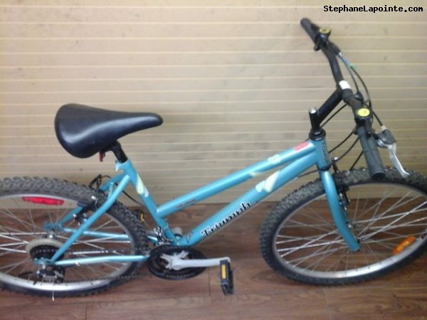 Vélo Triumph Challenger - StephaneLapointe.com