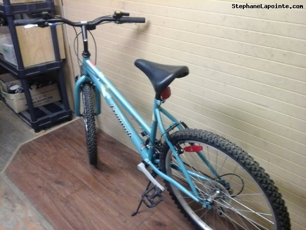 Vélo Triumph Challenger - StephaneLapointe.com