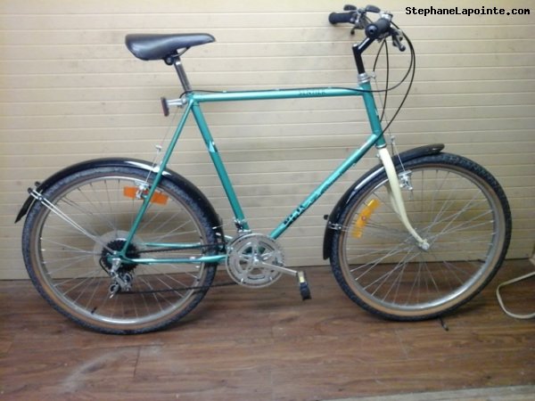 Vélo Niji Sentier - StephaneLapointe.com
