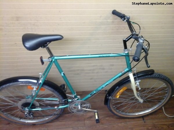 Vélo Niji Sentier - StephaneLapointe.com