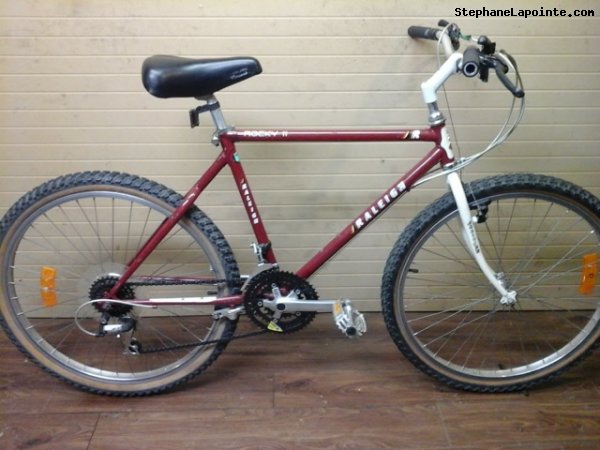 Vélo Raleigh Rocky II - StephaneLapointe.com