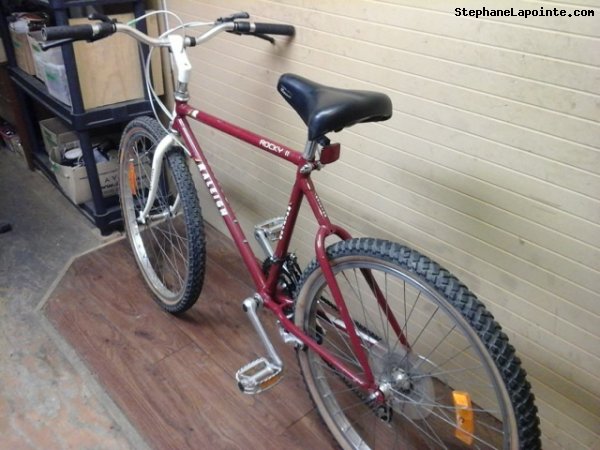 Vélo Raleigh Rocky II - StephaneLapointe.com